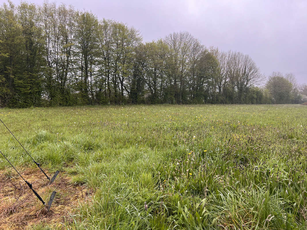 Terrain à LE BENY-BOCAGE