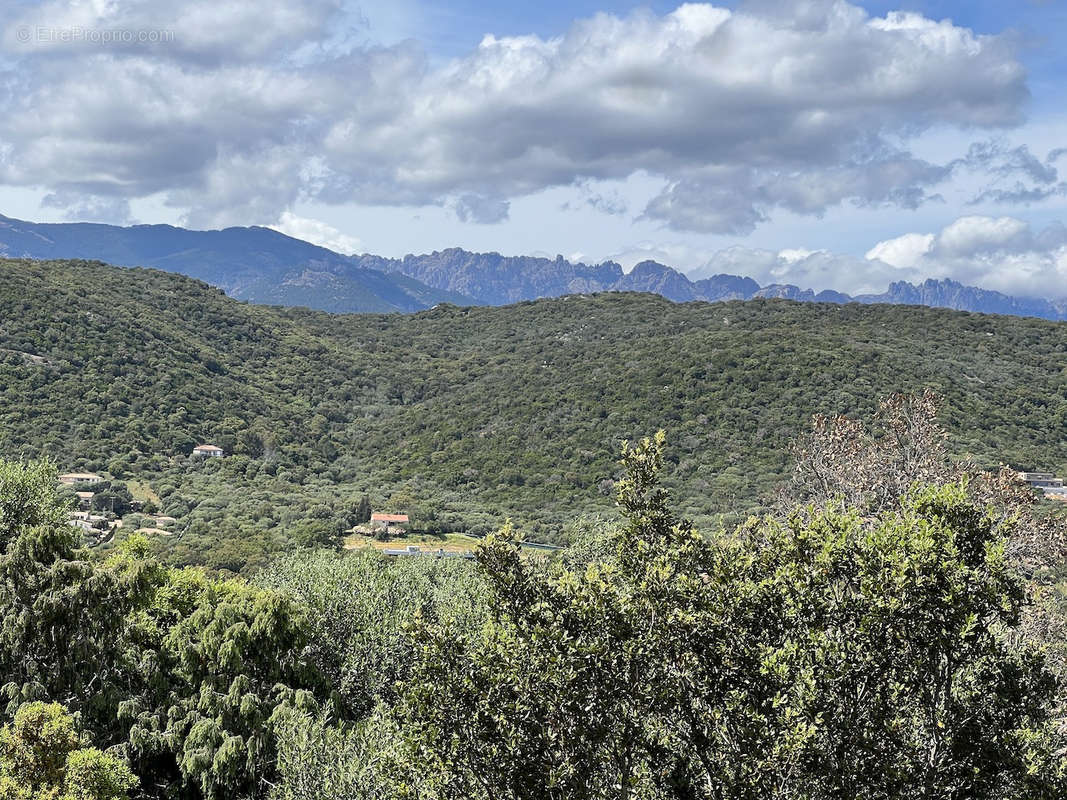 Maison à PORTO-VECCHIO