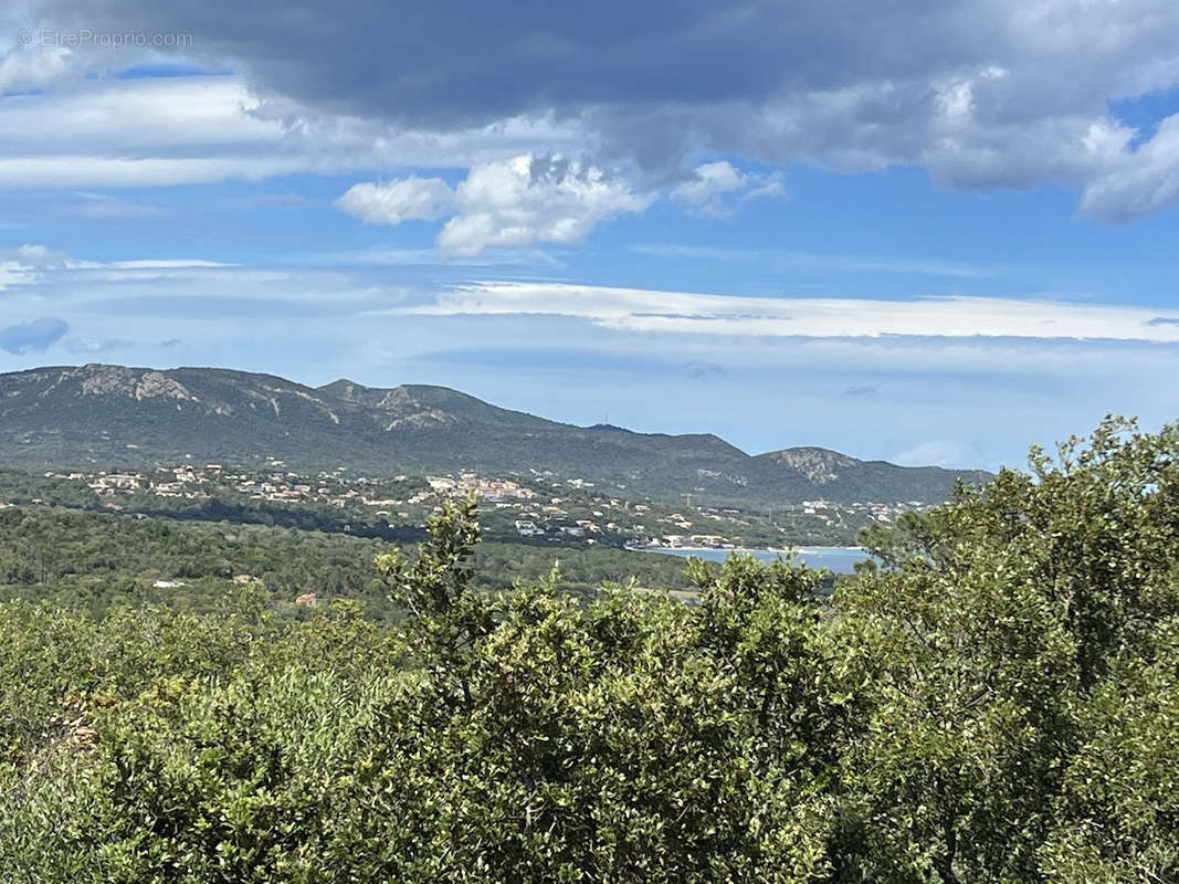 Maison à PORTO-VECCHIO