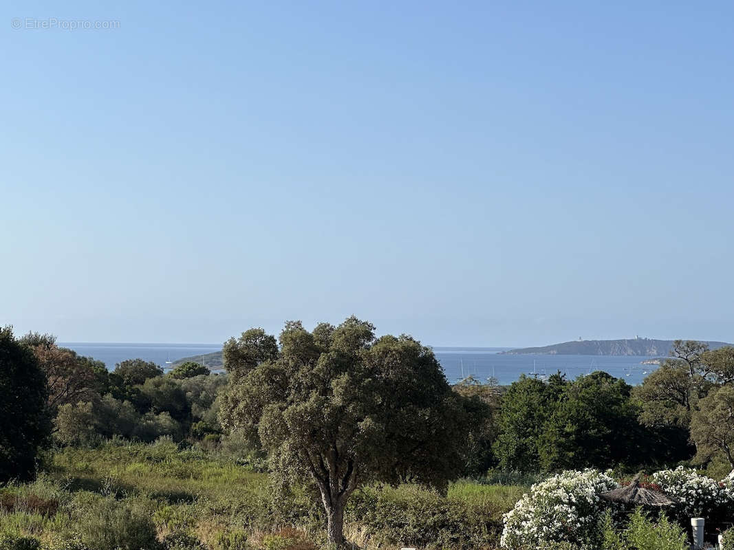 Maison à PORTO-VECCHIO