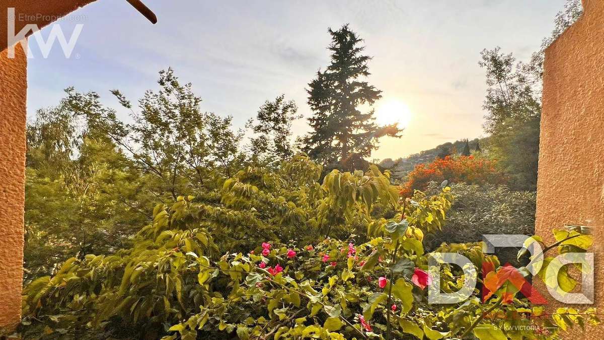 Appartement à BORMES-LES-MIMOSAS