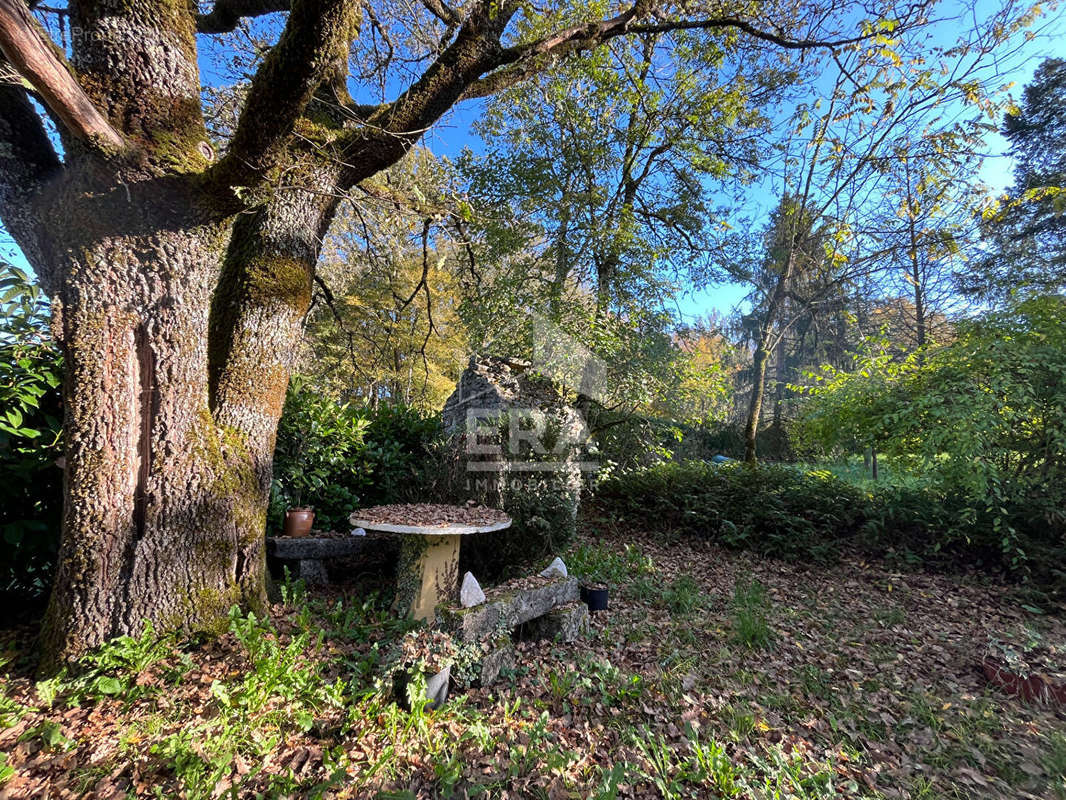 Terrain à COULAURES