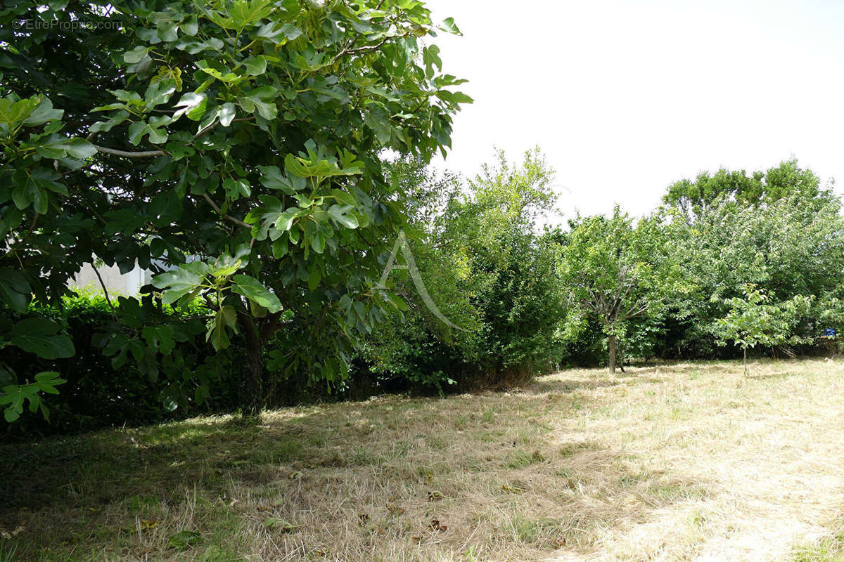 Terrain à MARENNES