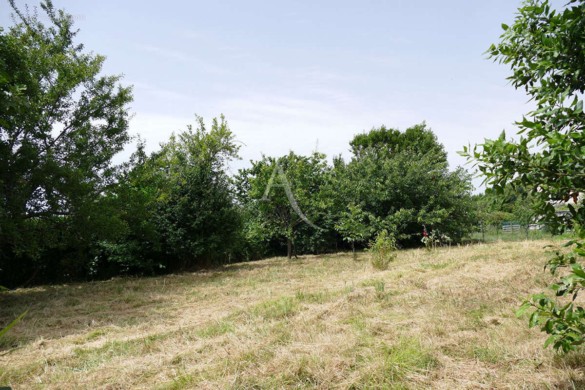 Terrain à MARENNES