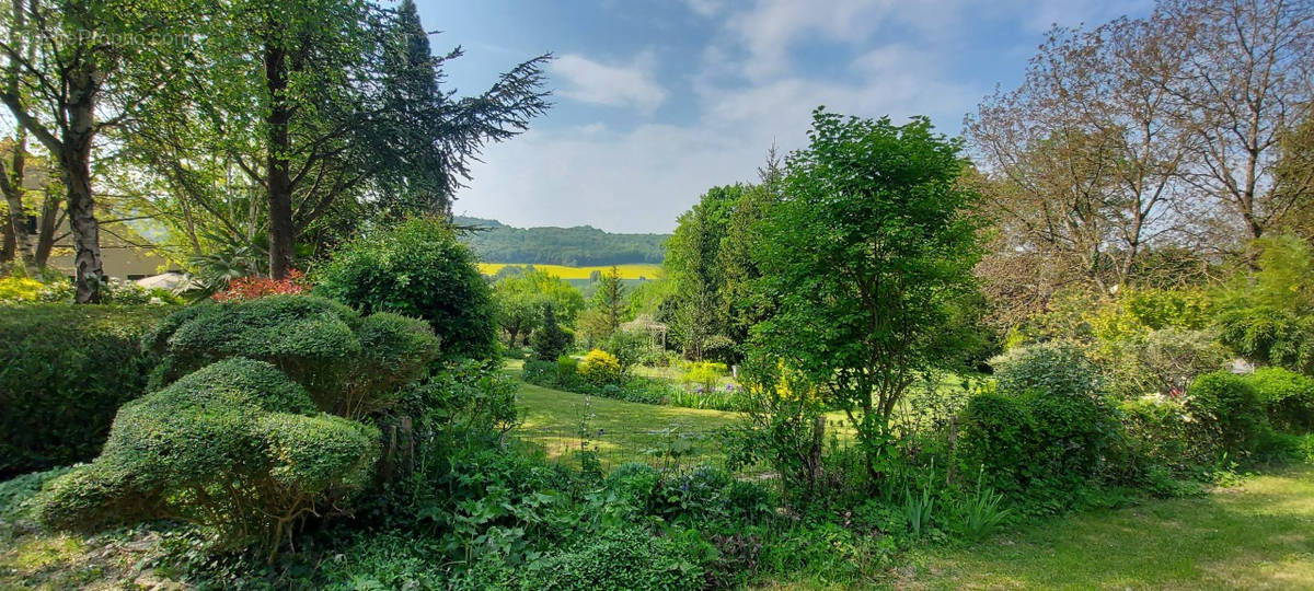 Terrain à VILLENEUVE-SUR-BELLOT