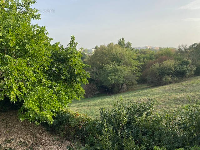 Terrain à SAINTE-FOY-LES-LYON