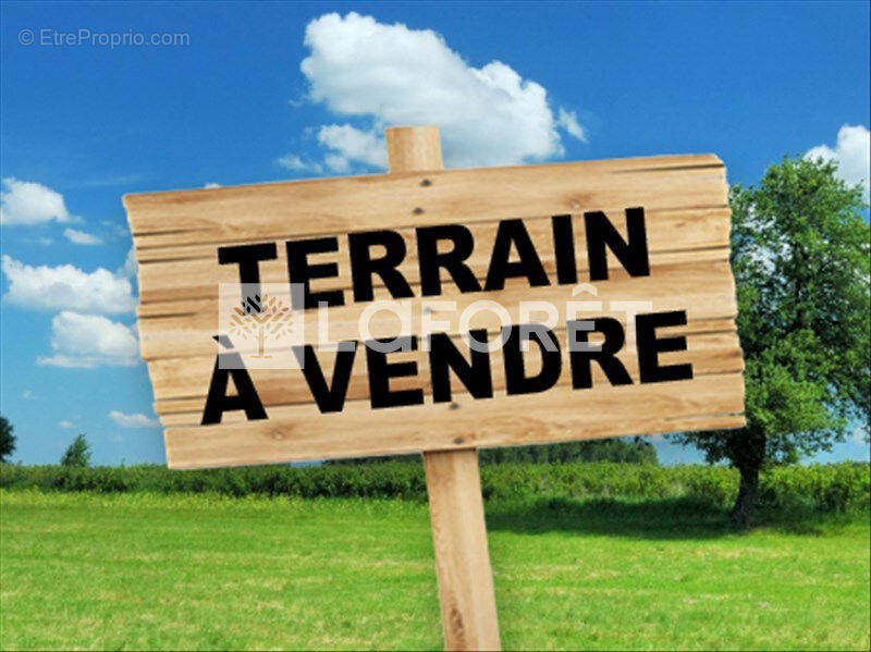 Terrain à MAISSE