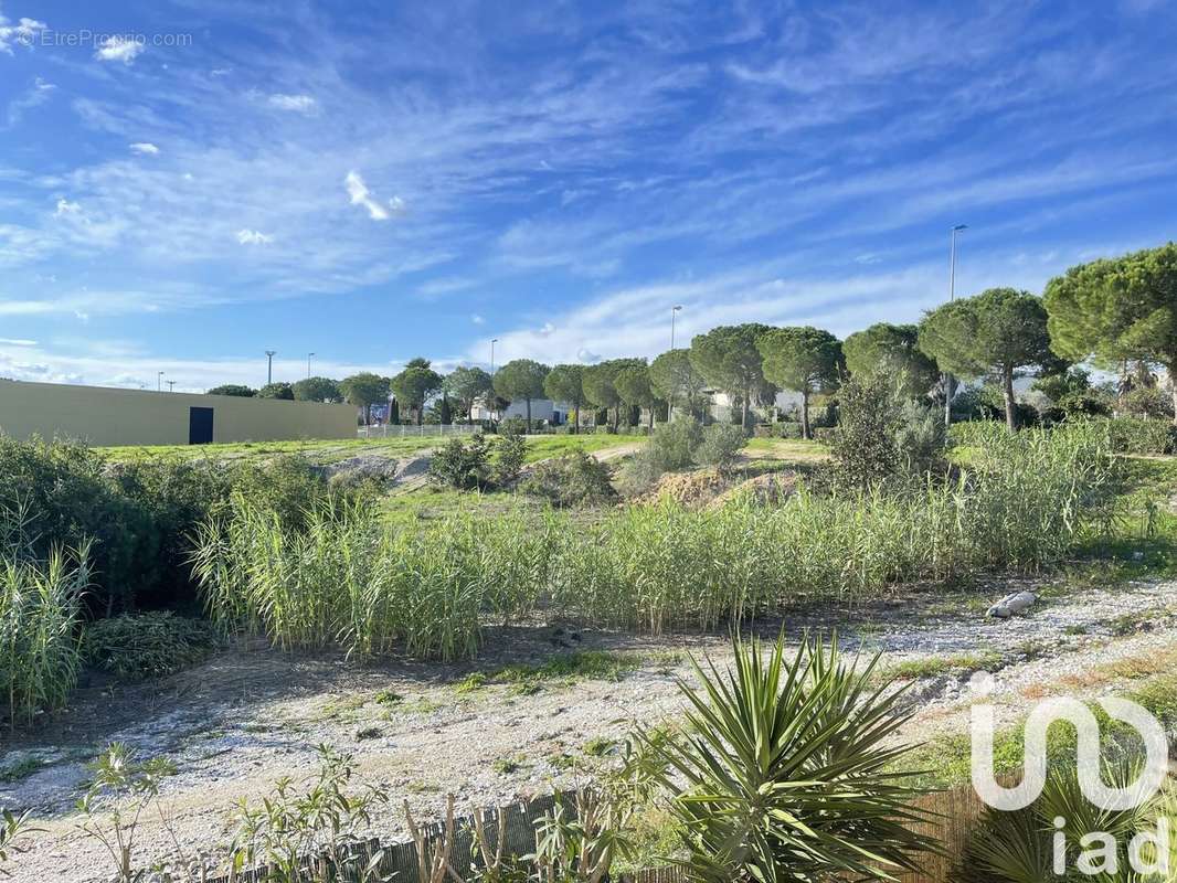 Photo 2 - Maison à CANET-EN-ROUSSILLON