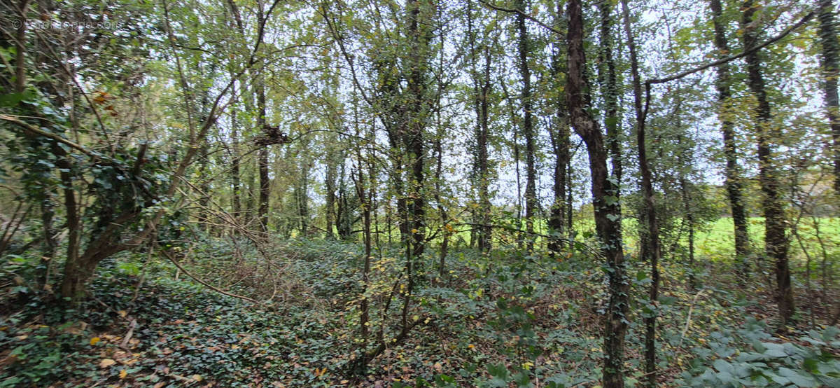 Terrain à SAINT-DENIS-LA-CHEVASSE