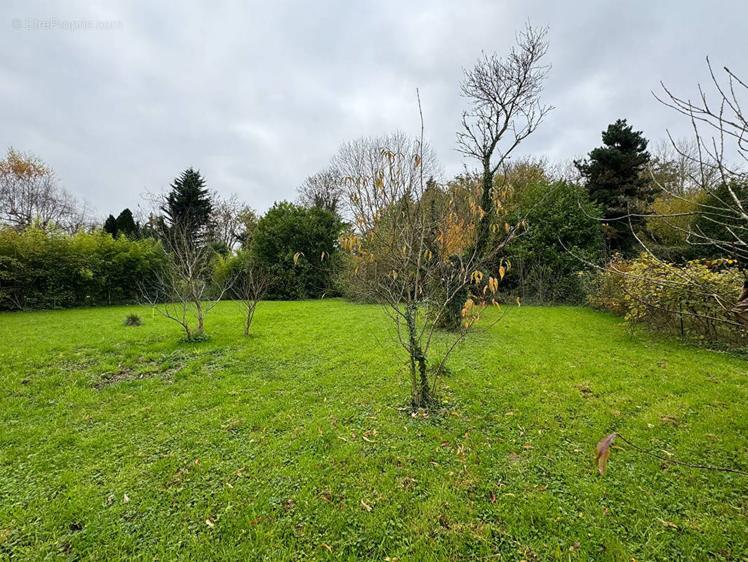 Terrain à FEUCHEROLLES