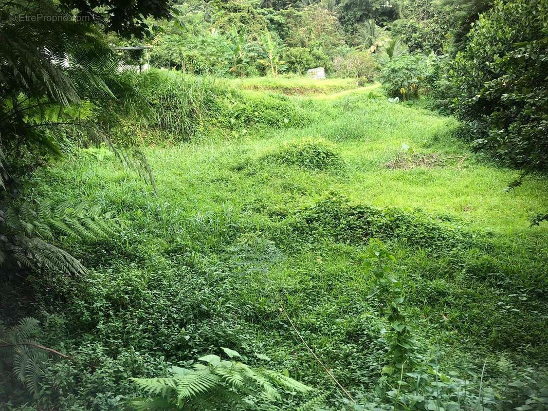 Terrain à FORT-DE-FRANCE