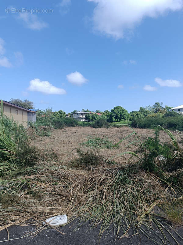 Terrain à ANSE-BERTRAND