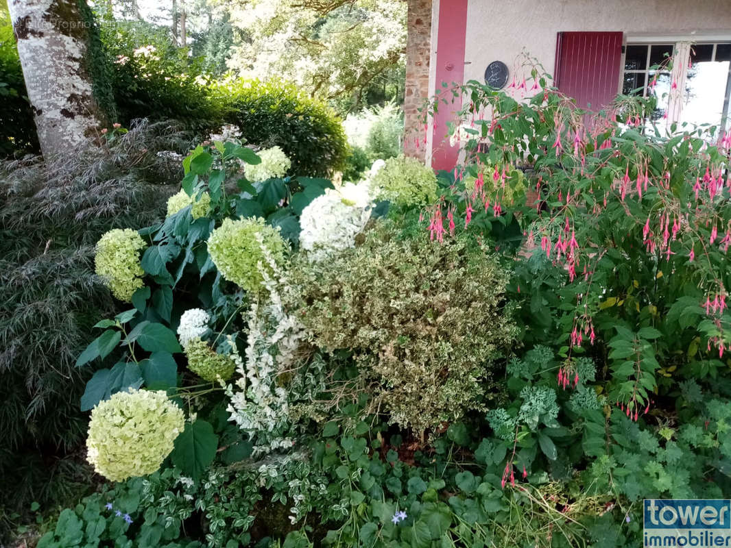 Maison à CHAMPS-ROMAIN