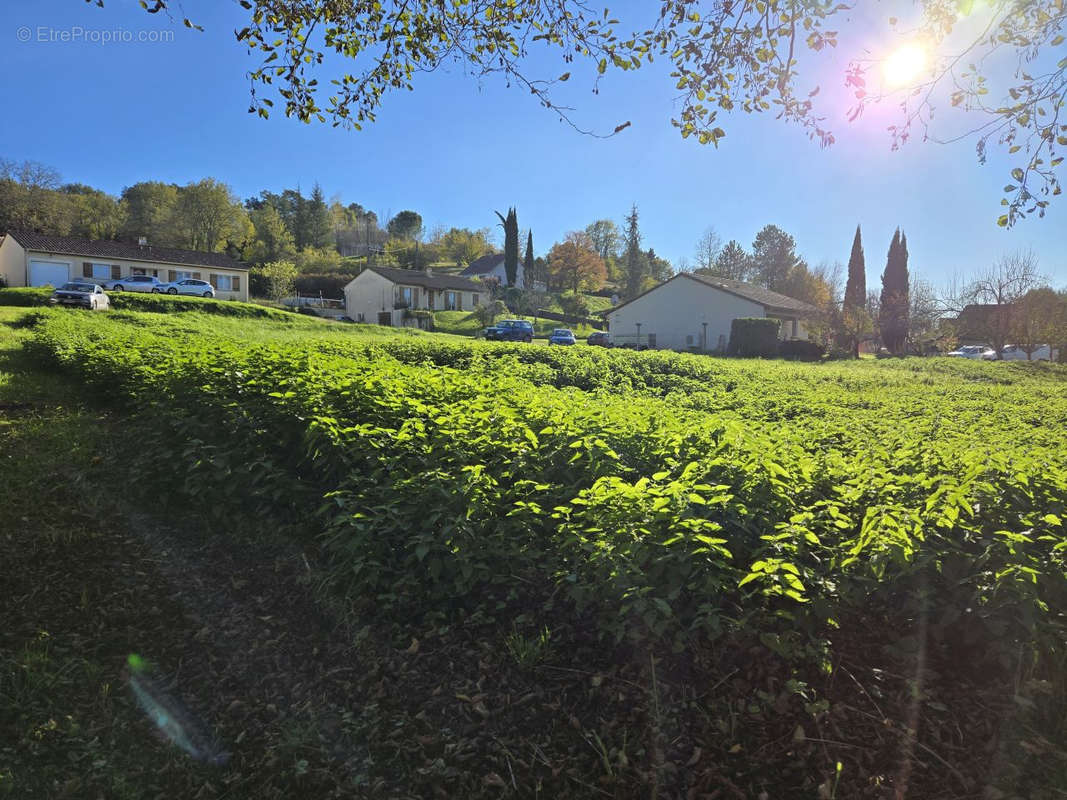 Terrain à VILLAMBLARD