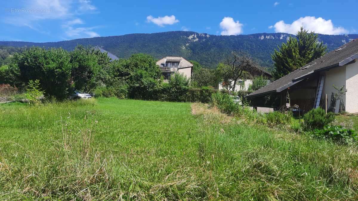 Terrain à VIUZ-LA-CHIESAZ