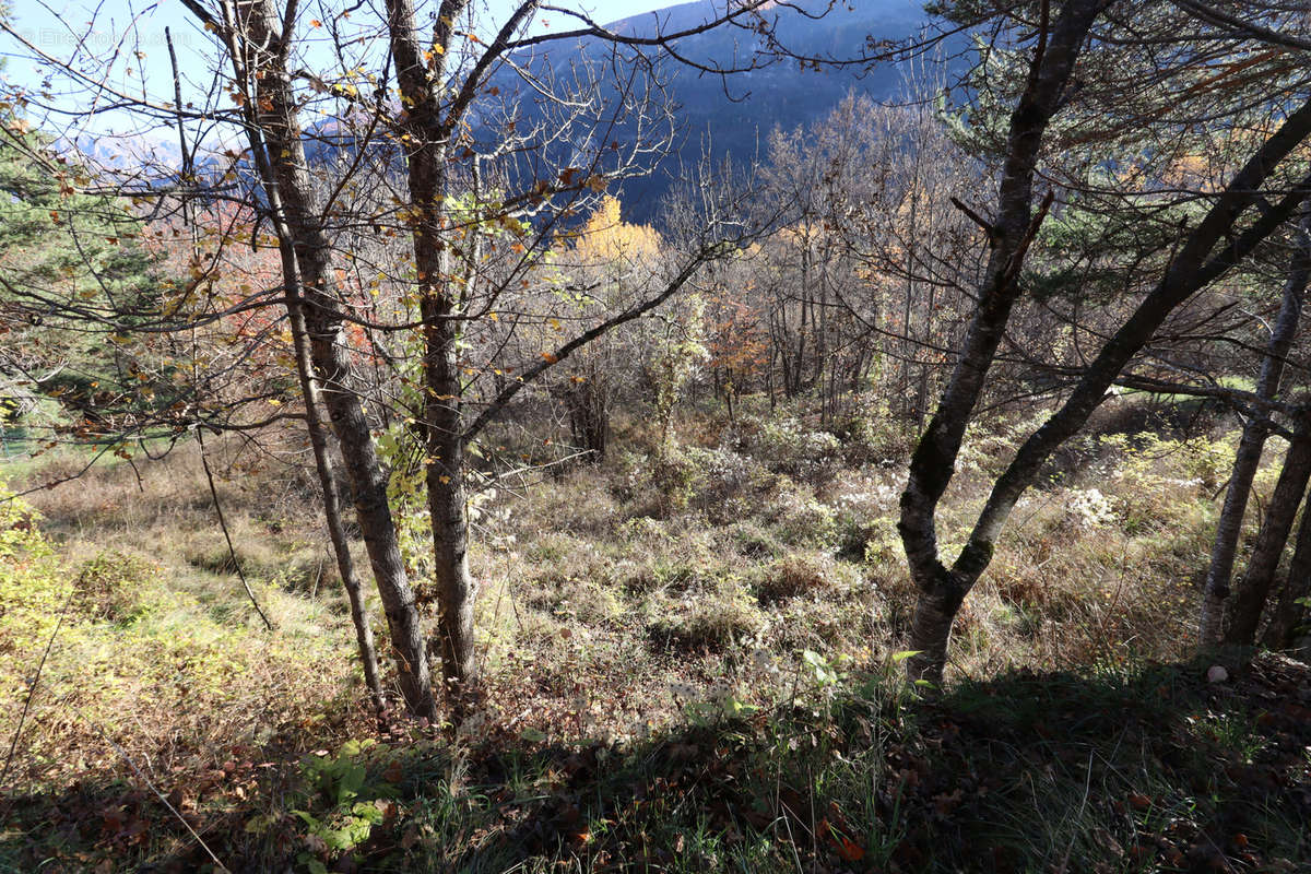 Terrain à BEAUVEZER