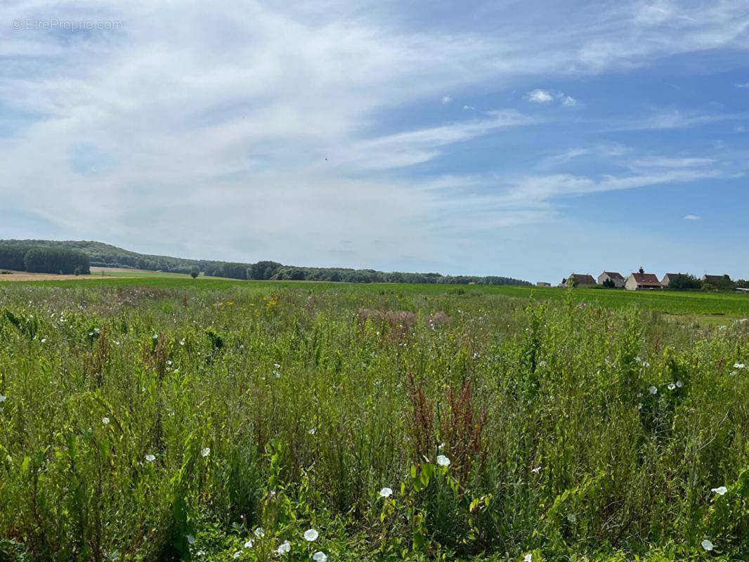 Terrain à NOYON