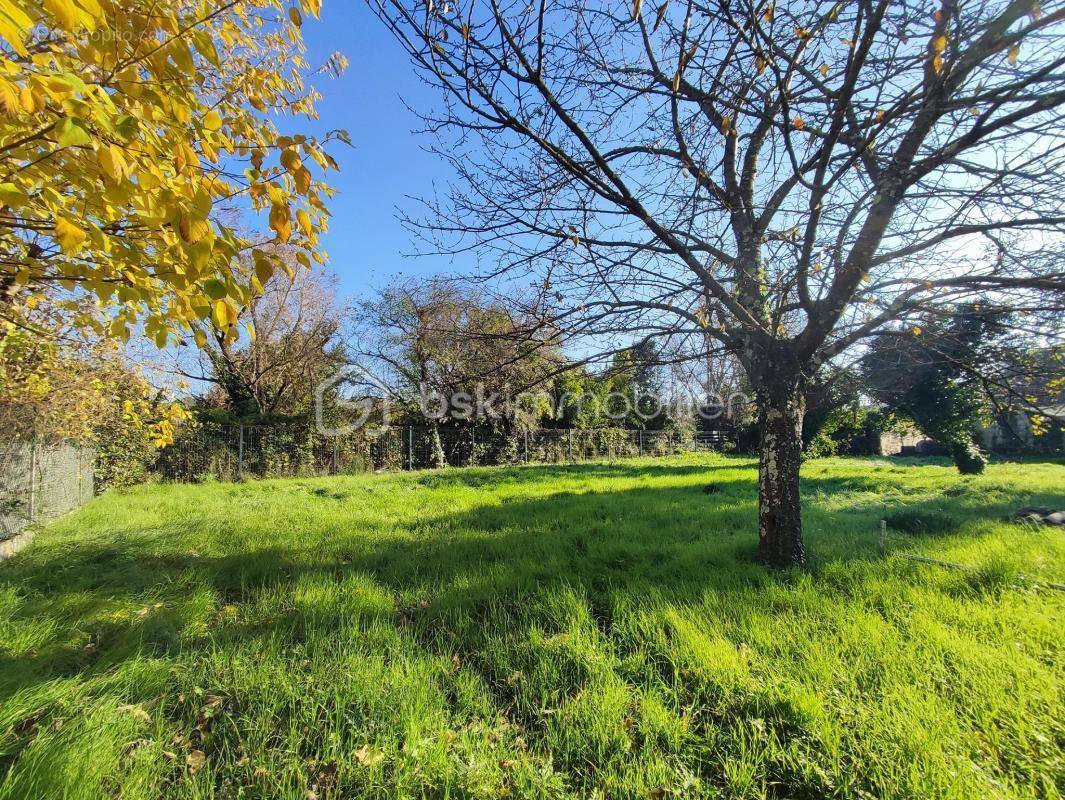 Terrain à MONTELIMAR