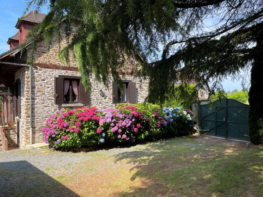 Maison à SAINT-PARDOUX-CORBIER