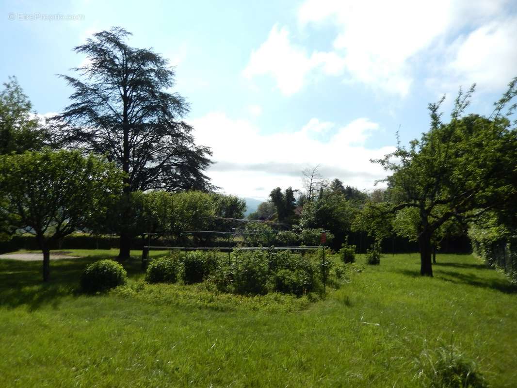 Grand Jardin de la propriété à vendre à Vétraz Monthoux - Maison à VETRAZ-MONTHOUX