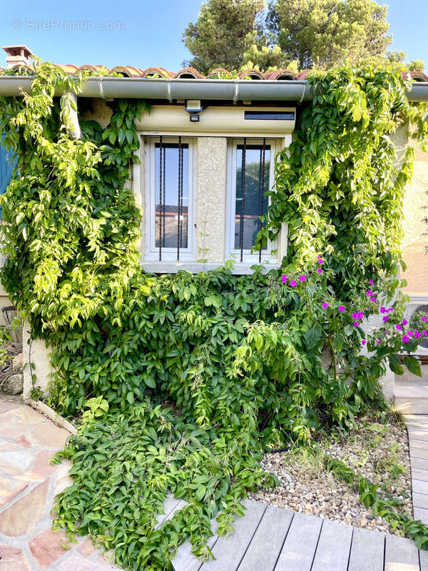 Maison à LEUCATE