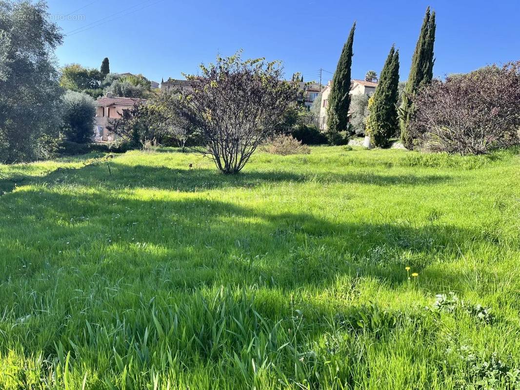 Terrain à GRASSE