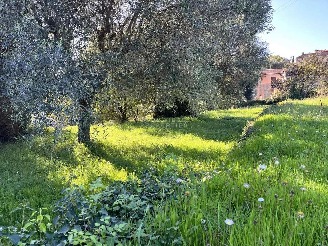 Terrain à GRASSE