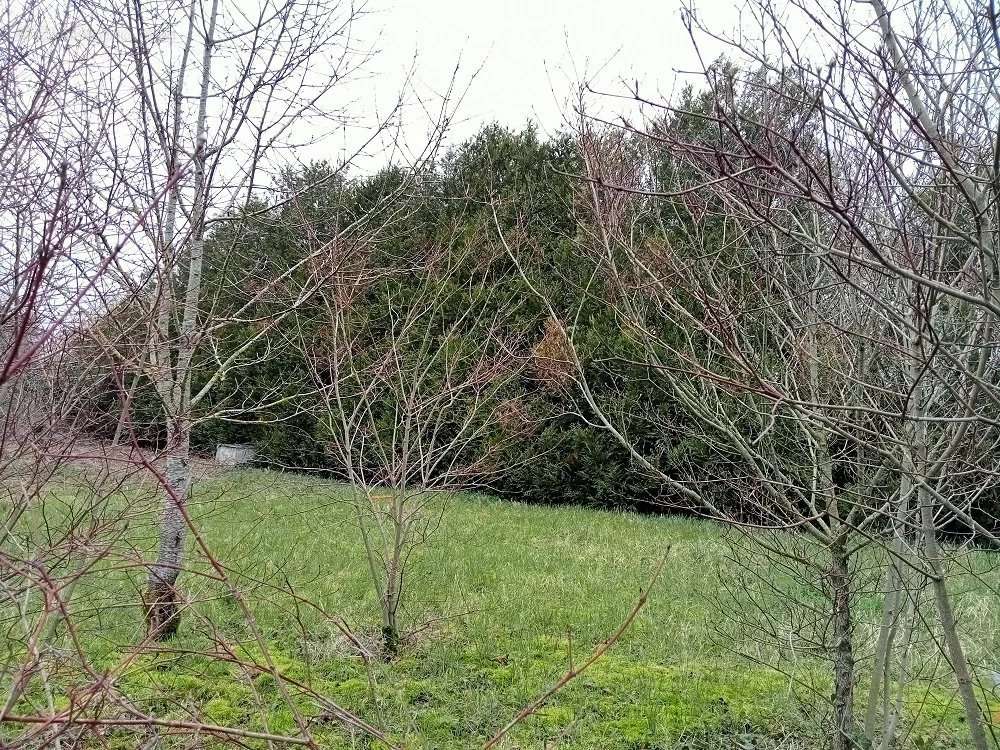 Terrain à BEAUNE-LA-ROLANDE