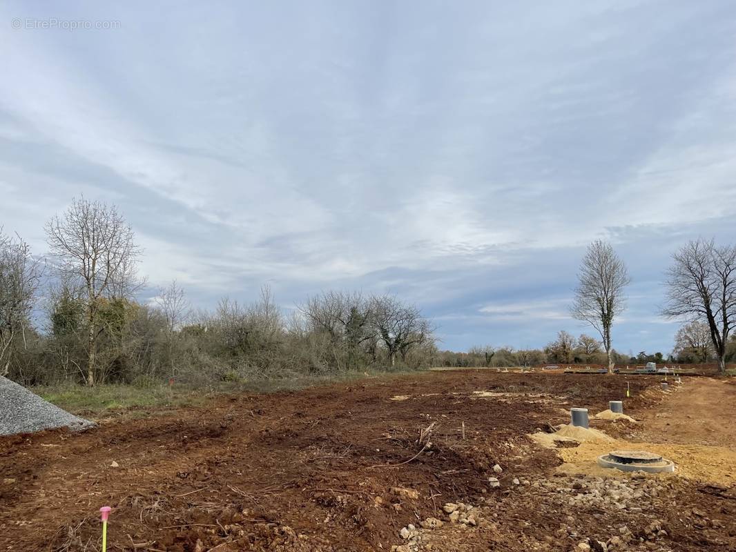 Terrain à CHATEAU-LARCHER