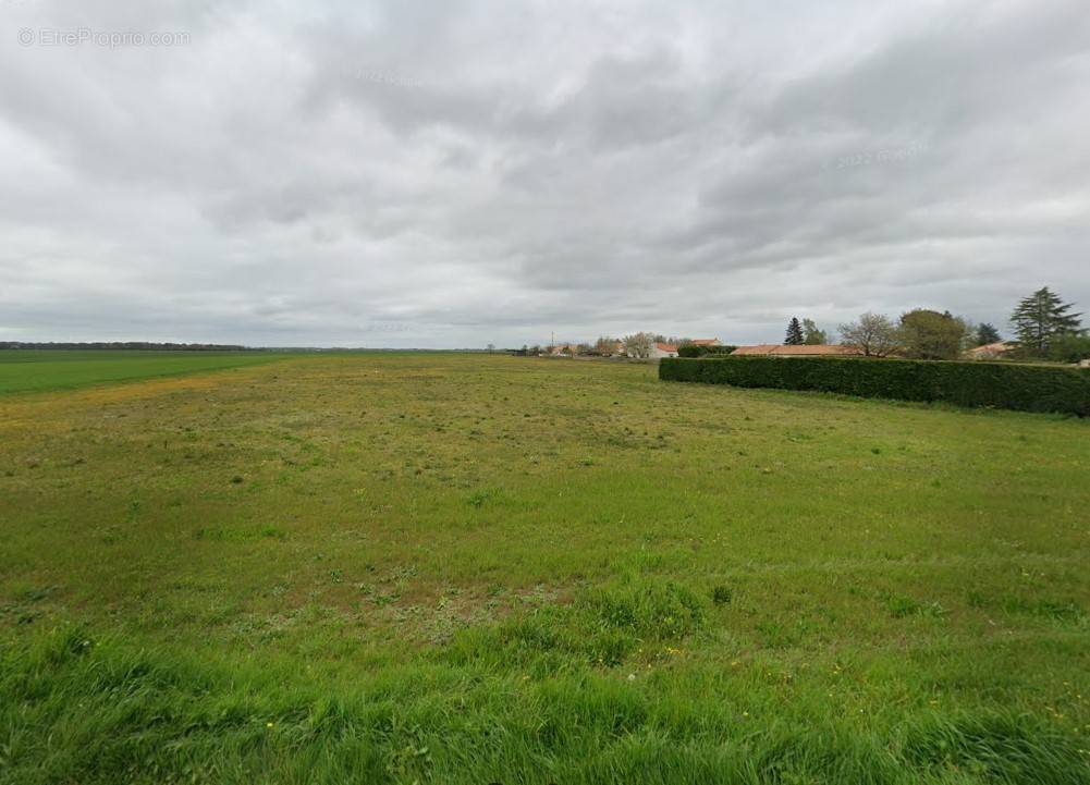 Terrain à VOUNEUIL-SOUS-BIARD