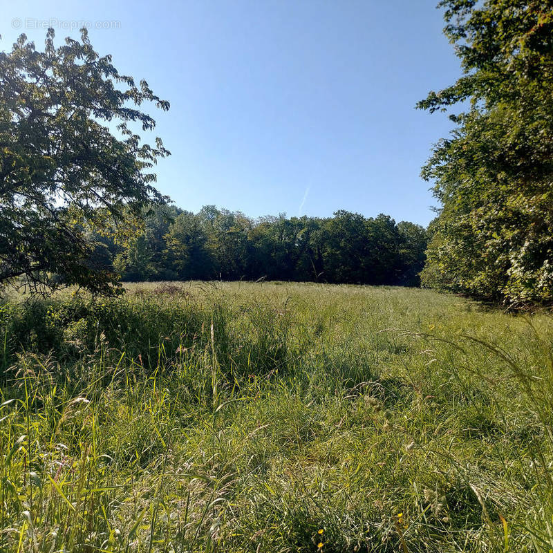 Terrain à COULOMMIERS