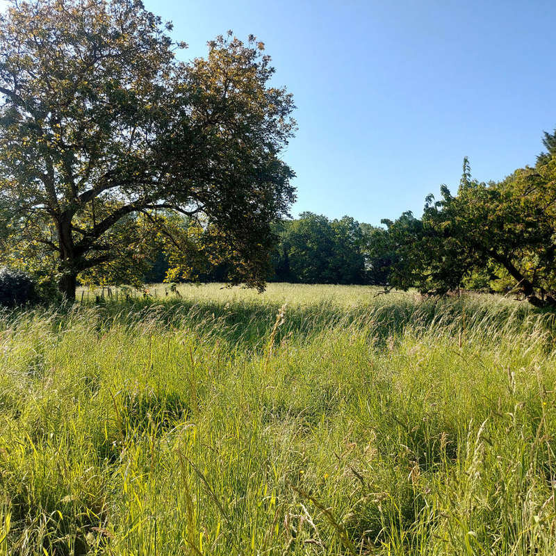 Terrain à COULOMMIERS