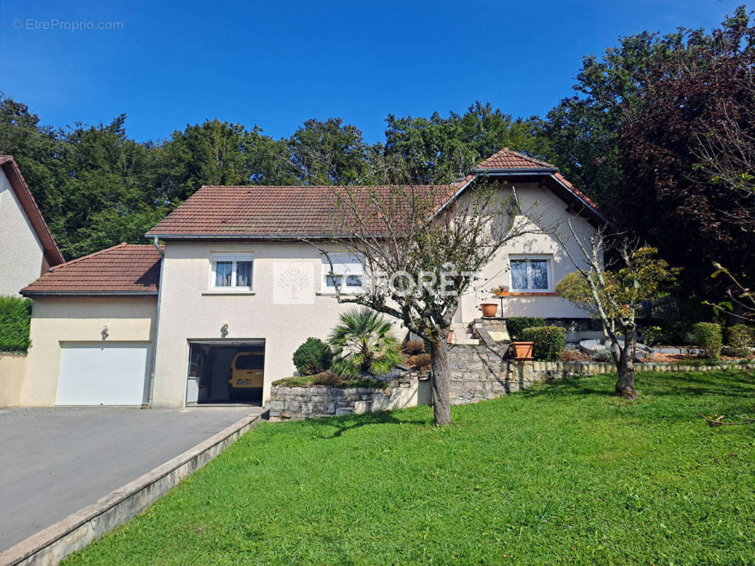 Maison à SAINT-VIT