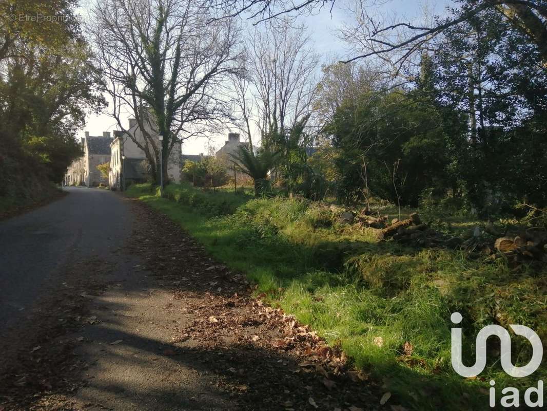 Photo 4 - Terrain à LOCRONAN