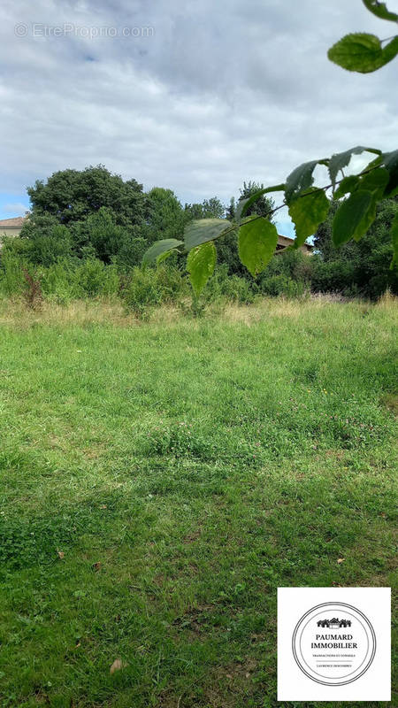 Terrain à ROMANS-SUR-ISERE