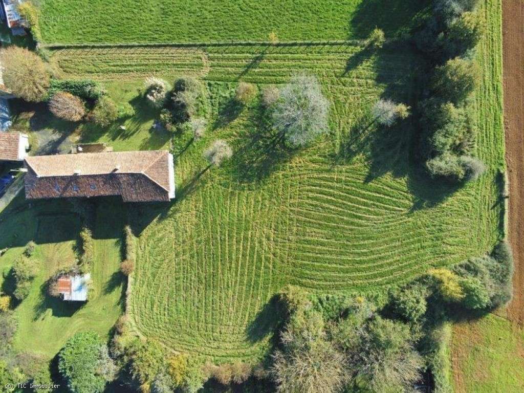 Maison à NANTEUIL-EN-VALLEE