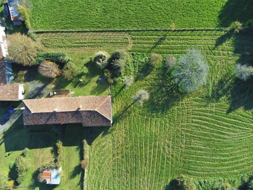 Maison à NANTEUIL-EN-VALLEE