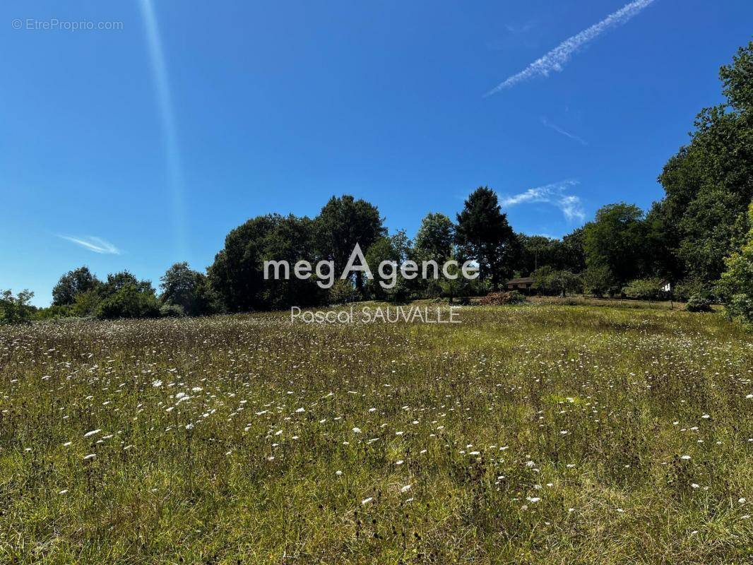 Terrain à SAINT-GERMAIN-DU-SALEMBRE