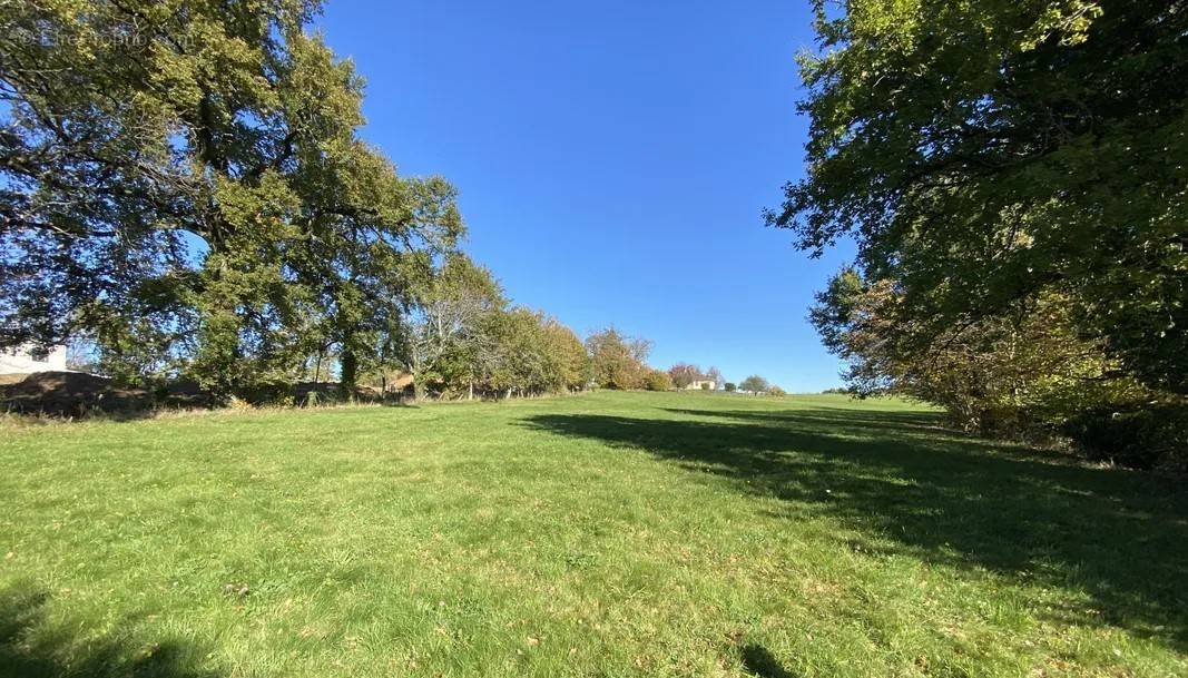 Terrain à NEUVILLE-DE-POITOU