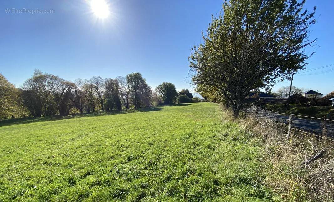 Terrain à MIGNALOUX-BEAUVOIR