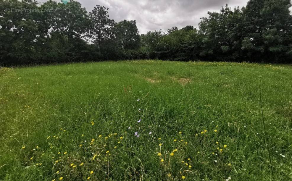 Terrain à MIGNALOUX-BEAUVOIR