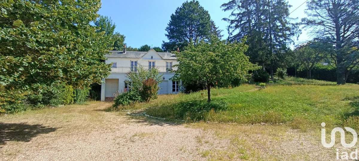 Photo 4 - Maison à CHINON