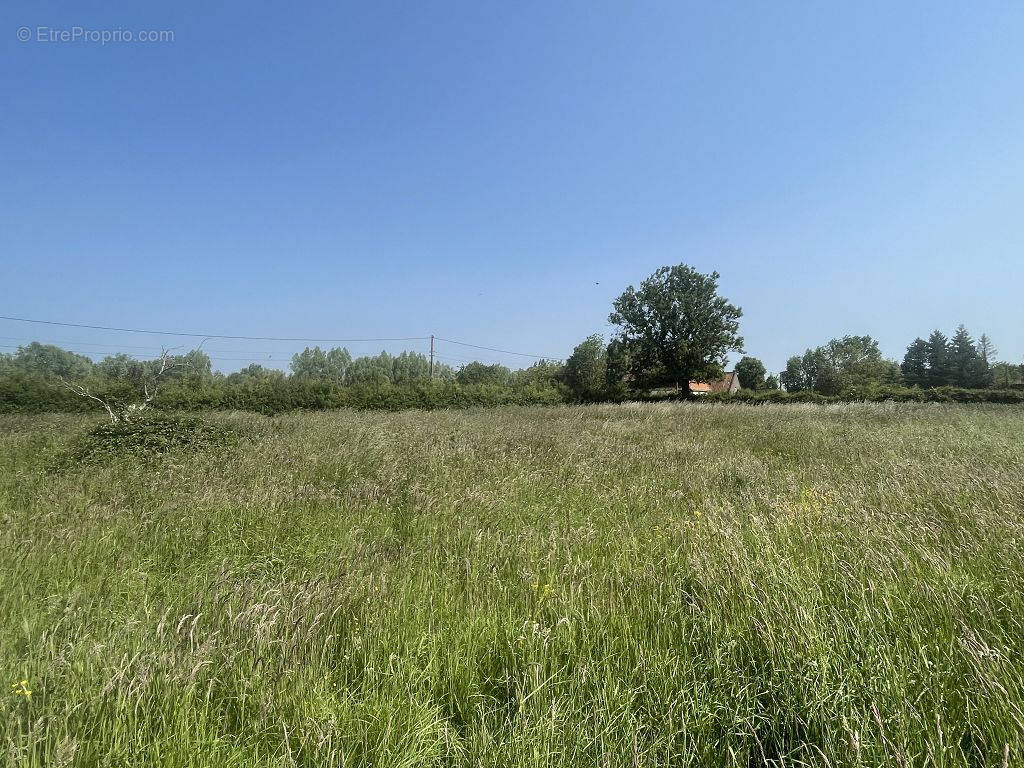 Terrain à AIRE-SUR-LA-LYS