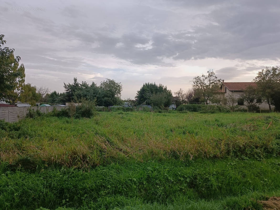 Terrain à CUSSAC-FORT-MEDOC