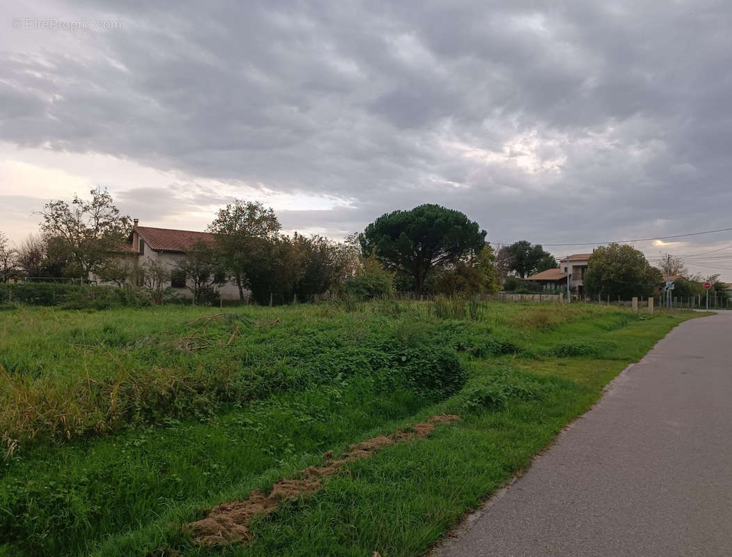 Terrain à CUSSAC-FORT-MEDOC