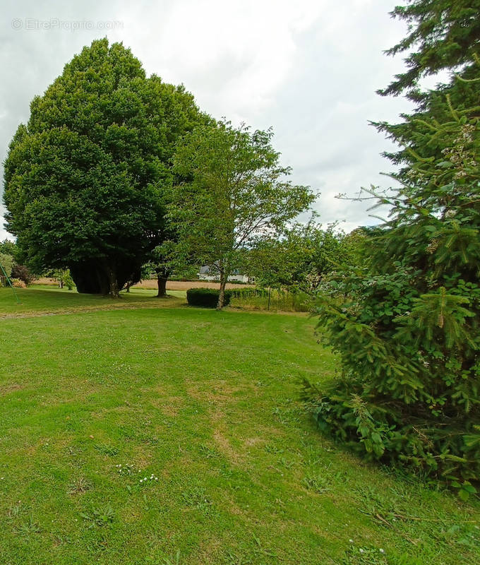 Terrain à TREMEVEN