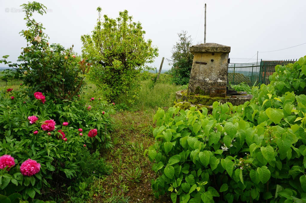 Maison à MARCIGNY