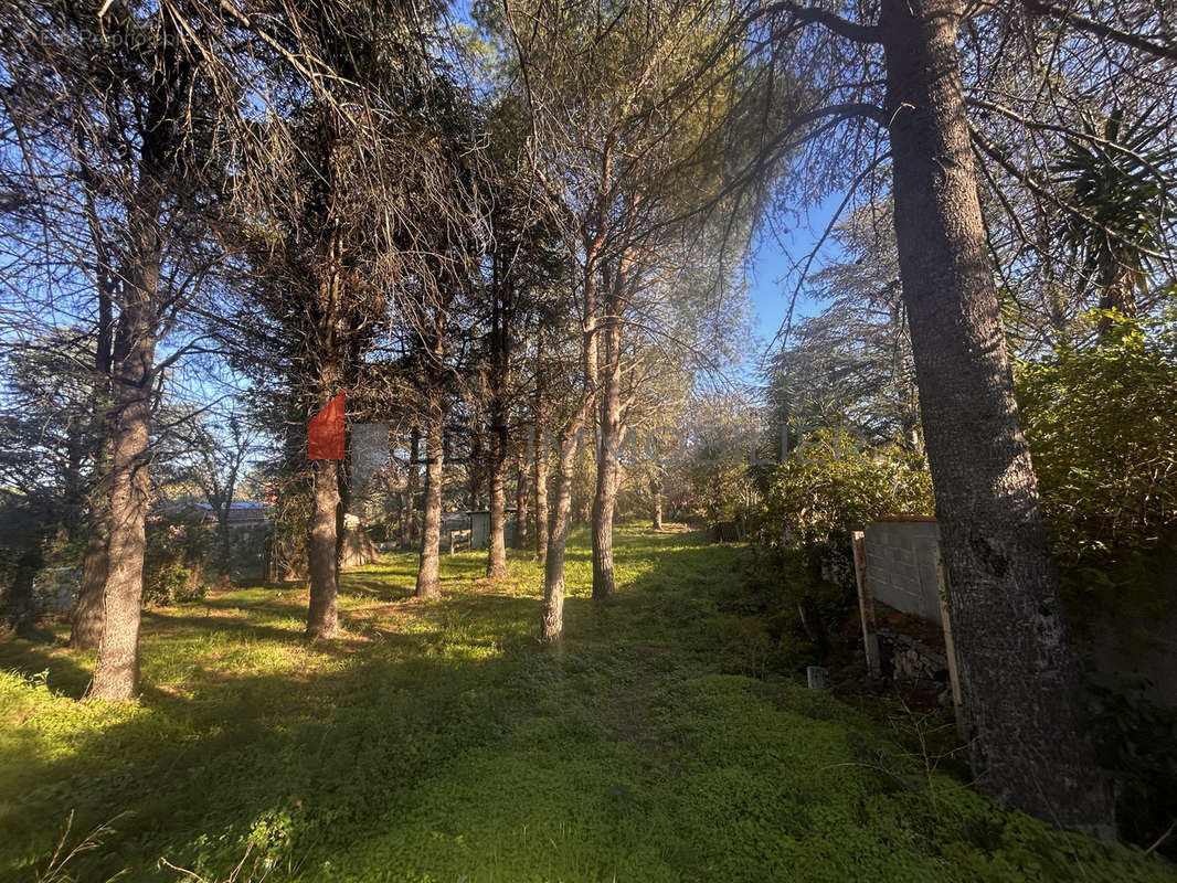 Terrain à ARGELES-SUR-MER