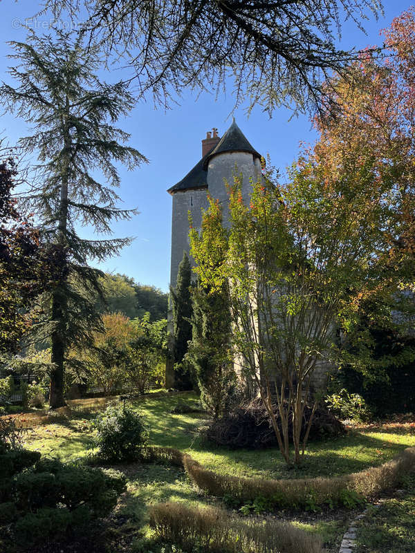 Maison à TOURS