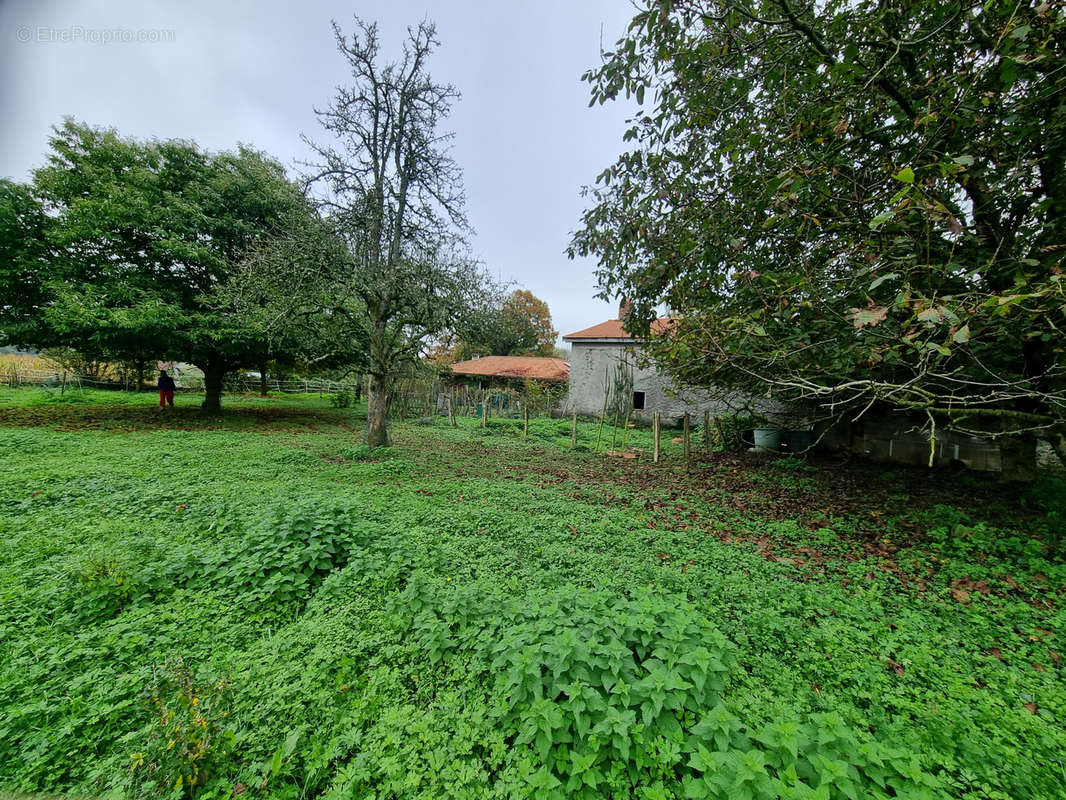 Maison à CLARENS